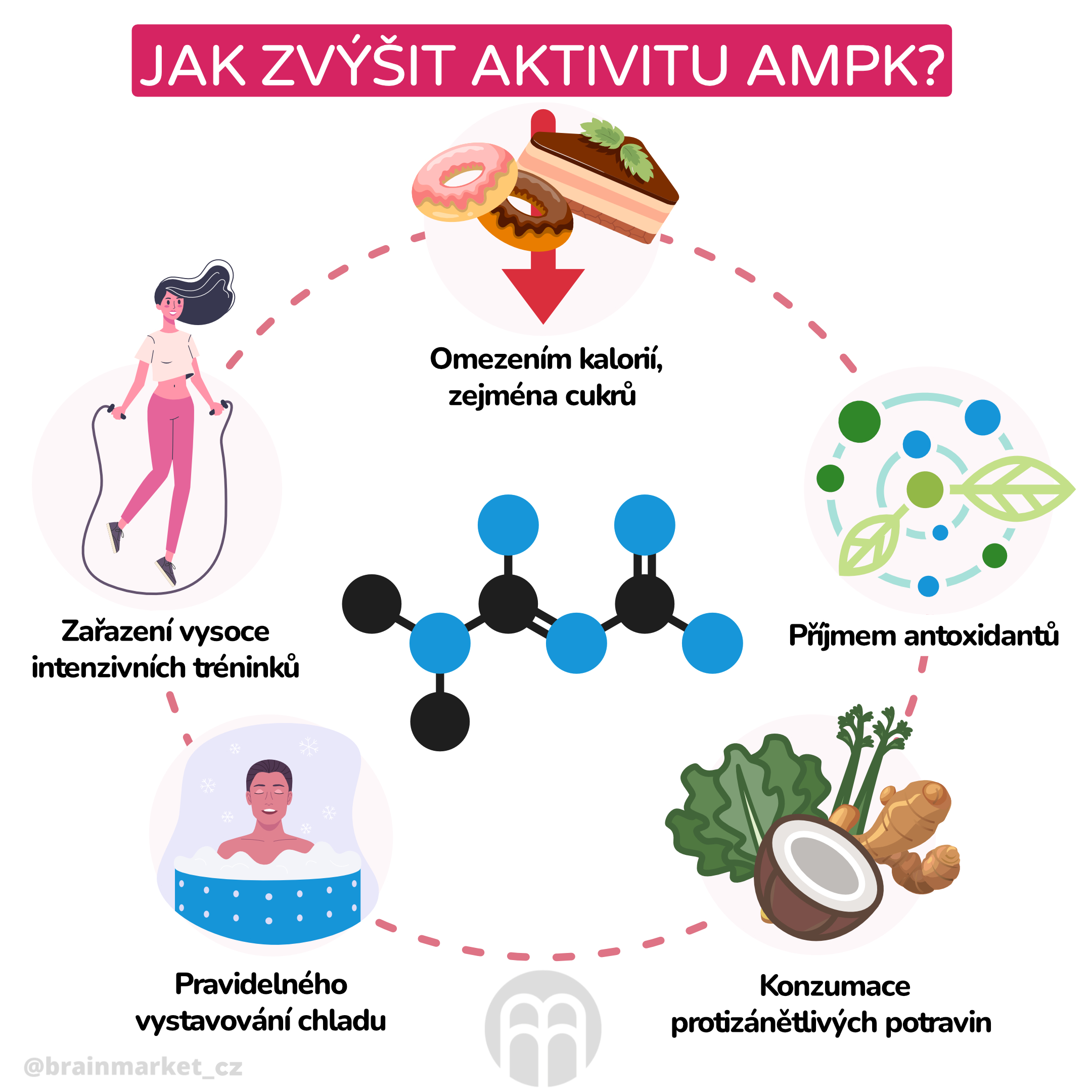 Jak zvýšit aktivitu AMPK_ _inforgafika_cz